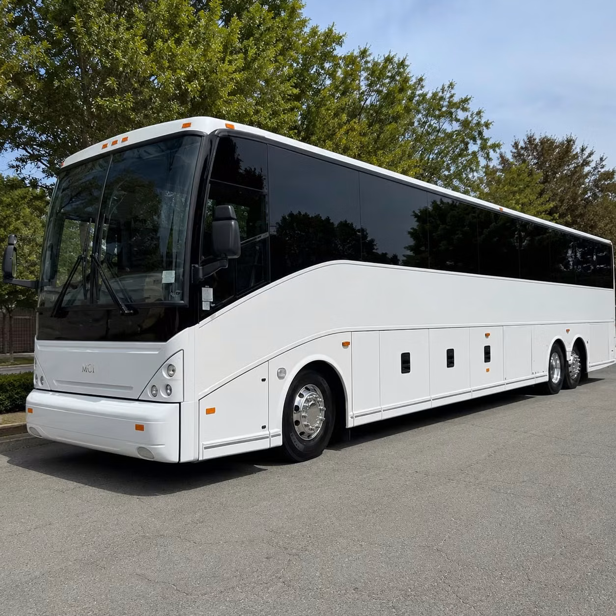with coachbusmountpleasant com renting a bus for cruise transfers through charleston is just as easy